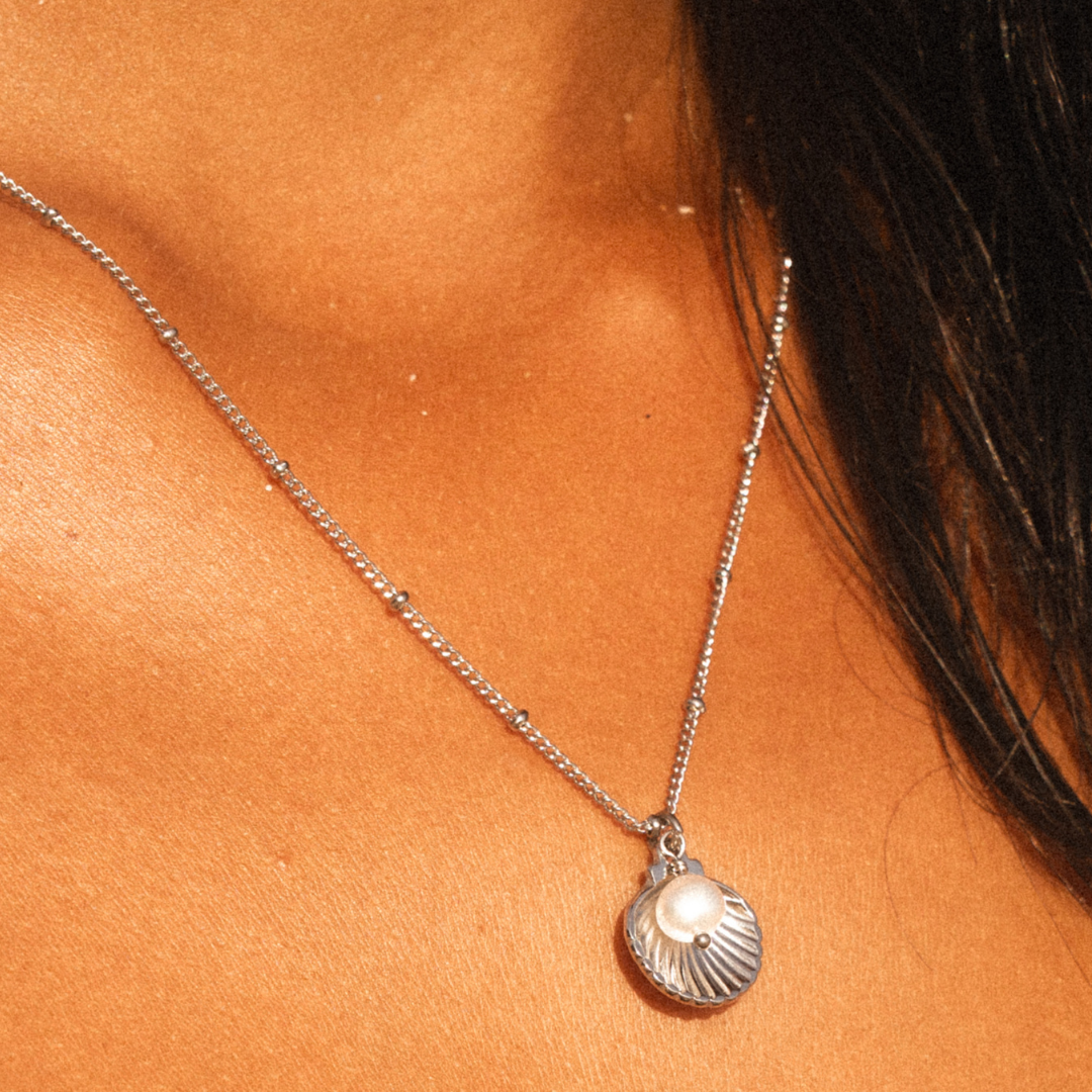 Collar de conchas