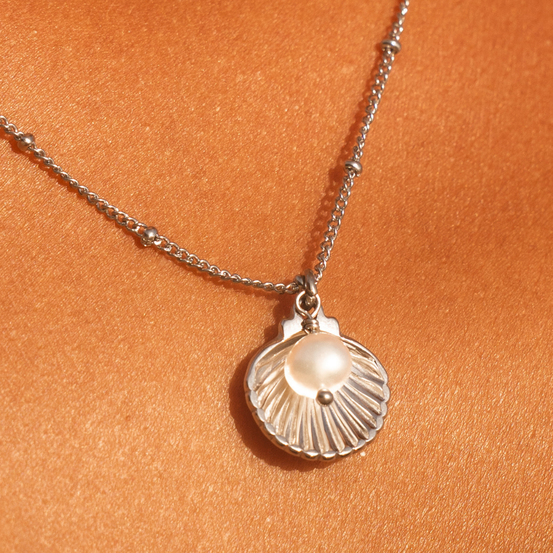 Collar de conchas