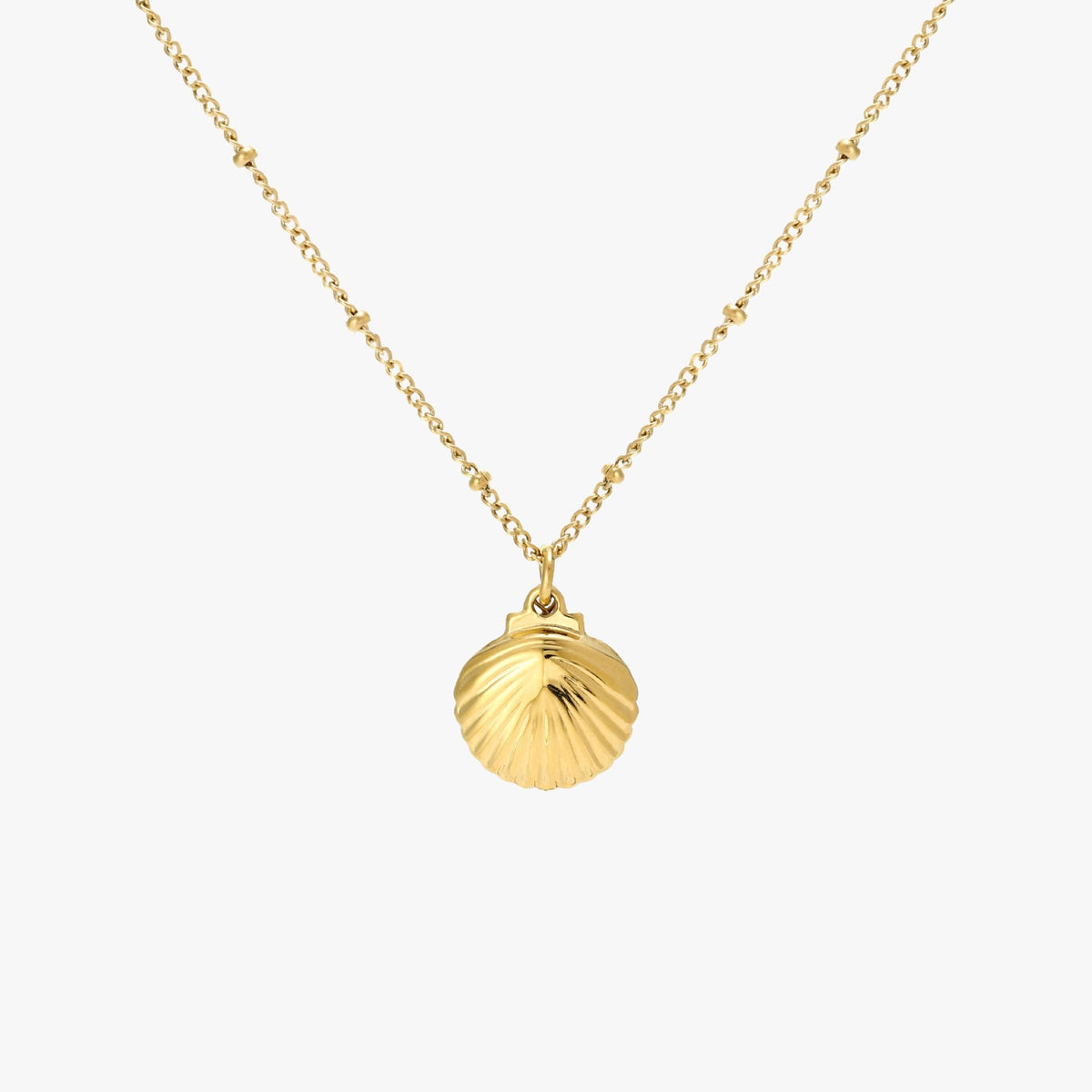 Collar de conchas