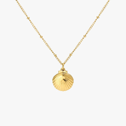 Collar de conchas