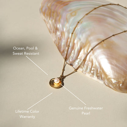 Collar de conchas