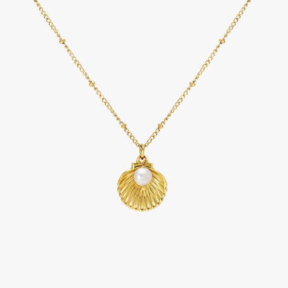 Collar de conchas